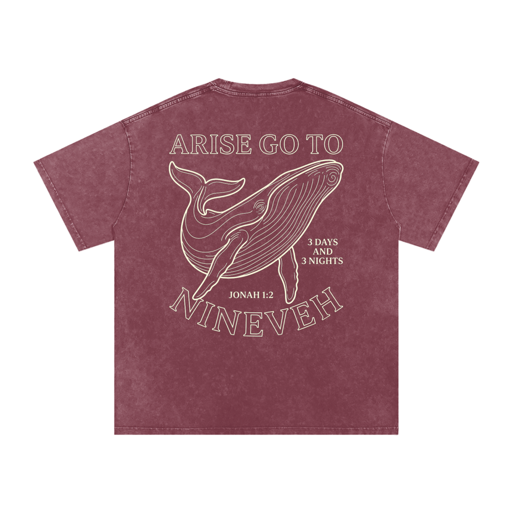 Whale Snow Washed Oversized Cotton T-Shirt