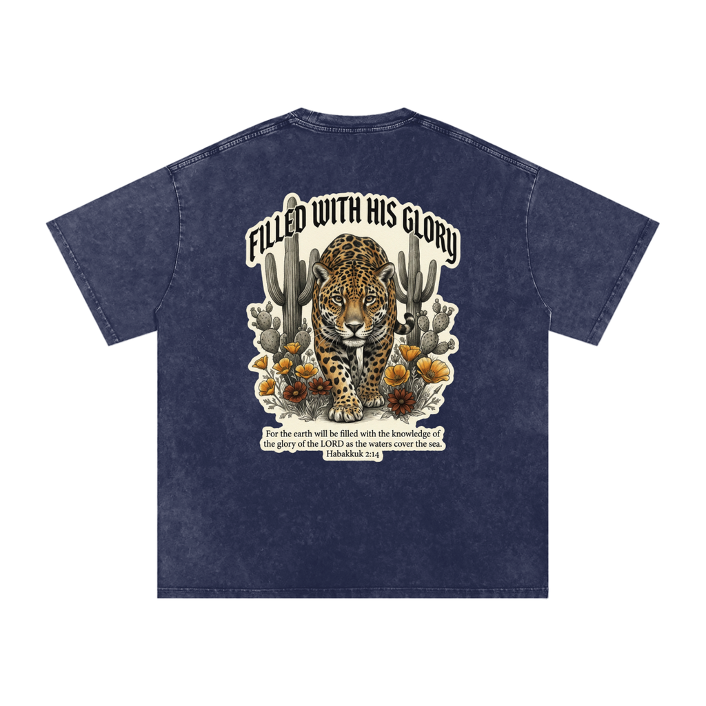 Glory Snow Washed Oversized Cotton T-Shirt