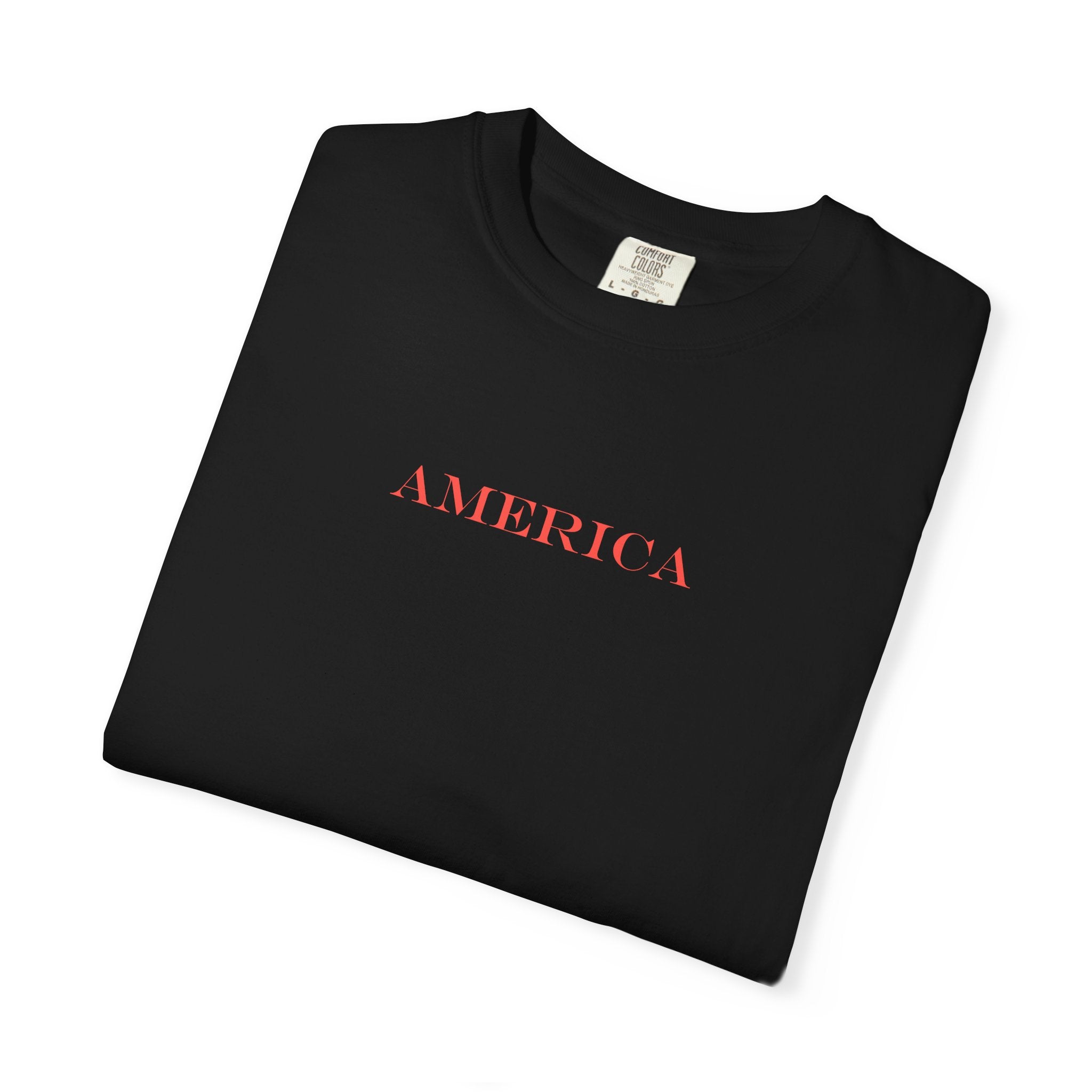 Americana Buffalo Tee — "Land of the Free" Garment-Dyed T-Shirt