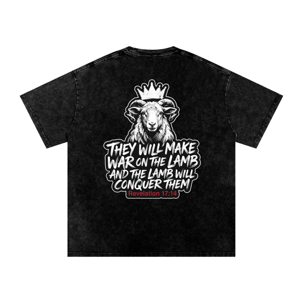Lamb Snow Washed Oversized Cotton T-Shirt