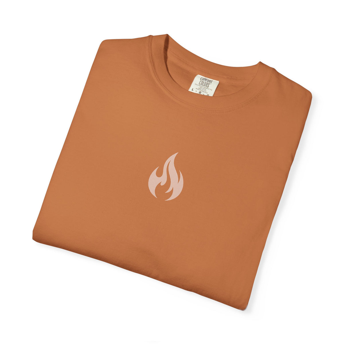 Eagle Wings Isaiah 40:31 T-Shirt