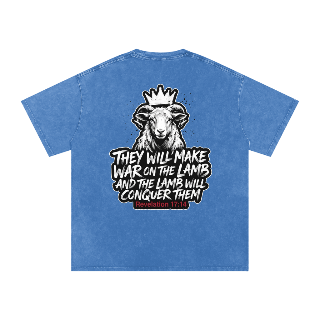 Lamb Snow Washed Oversized Cotton T-Shirt