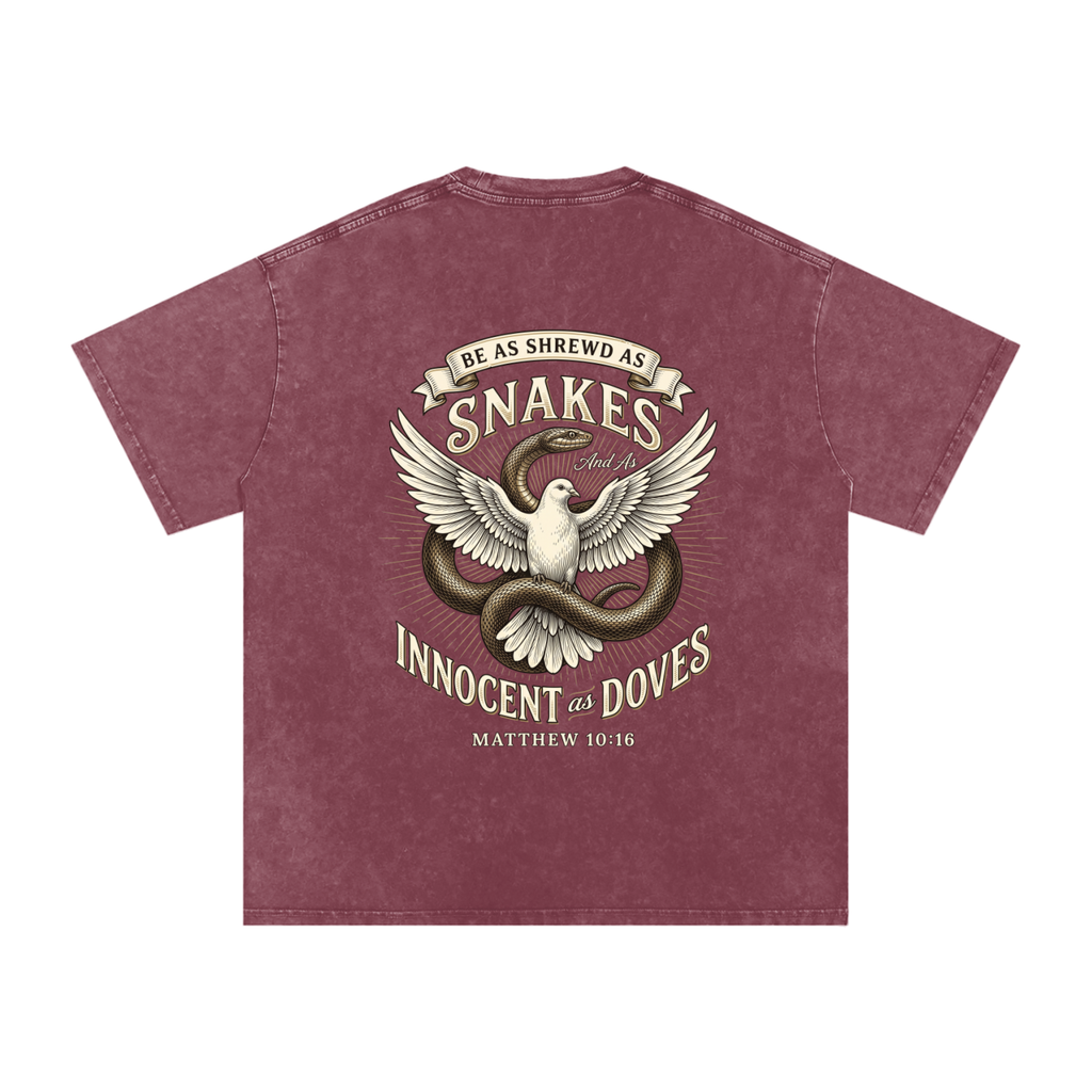 Snakes and Doves Snow Washed Oversized Cotton T-Shirt