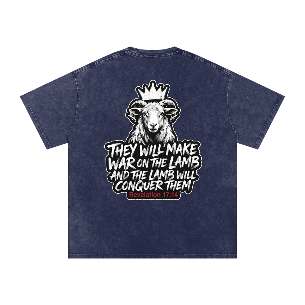 Lamb Snow Washed Oversized Cotton T-Shirt