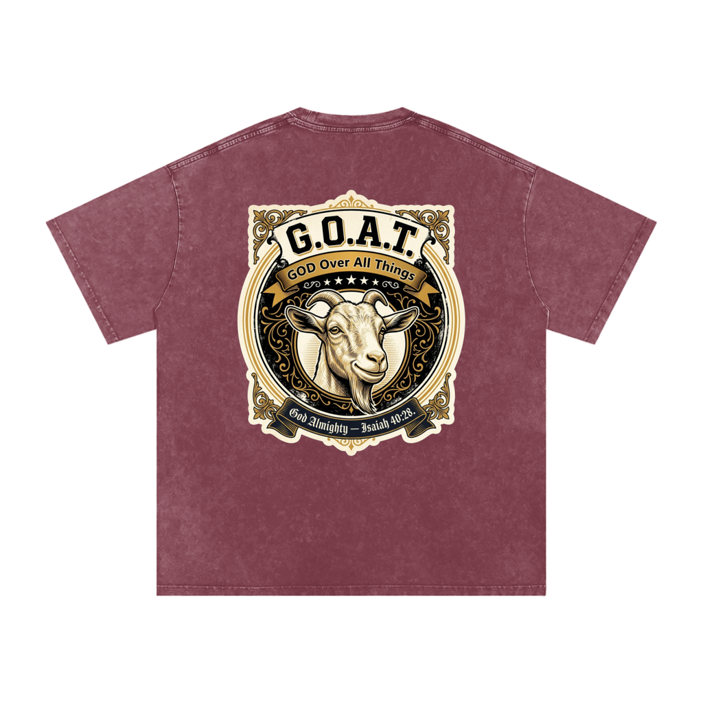 GOAT Snow Washed Oversized Cotton T-Shirt