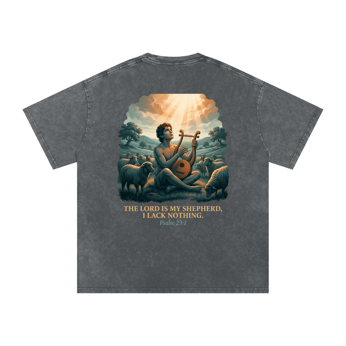 David Snow Washed Oversized Cotton T-Shirt