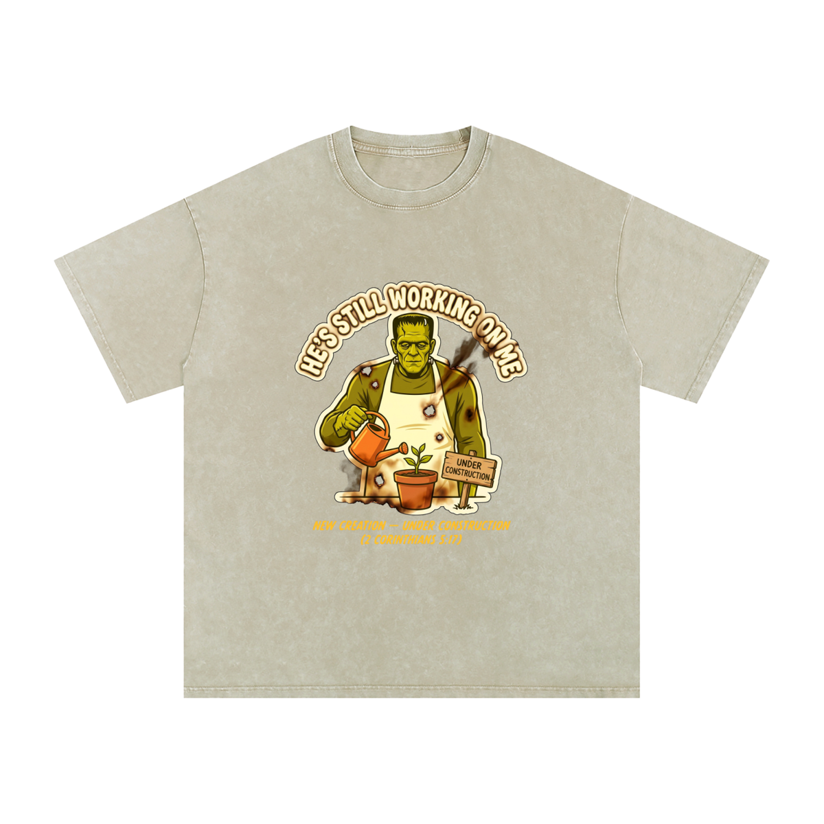 Franky Snow Washed Oversized Cotton T-Shirt