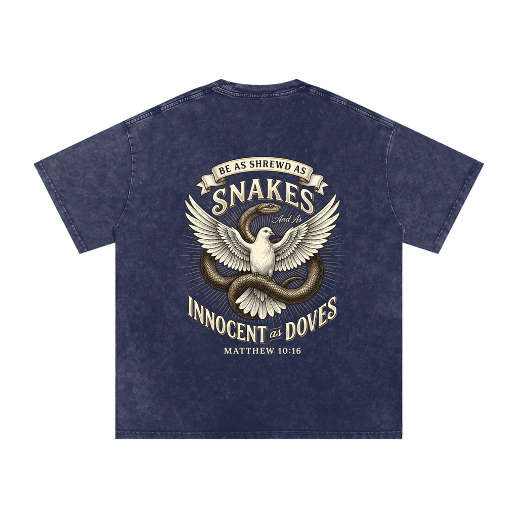 Snakes and Doves Snow Washed Oversized Cotton T-Shirt