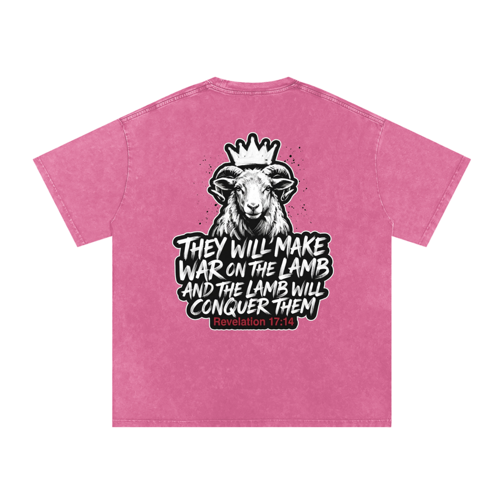 Lamb Snow Washed Oversized Cotton T-Shirt