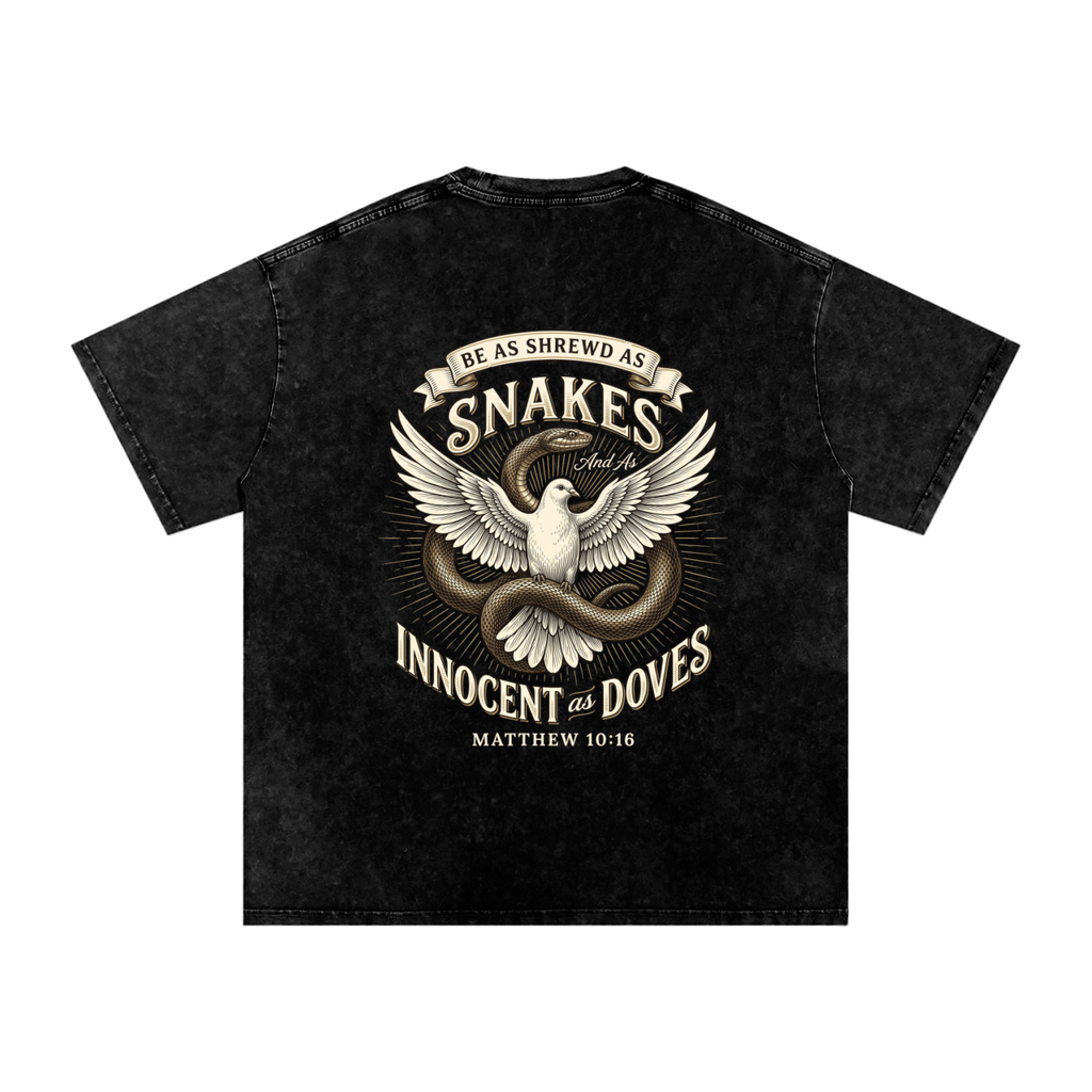 Snakes and Doves Snow Washed Oversized Cotton T-Shirt