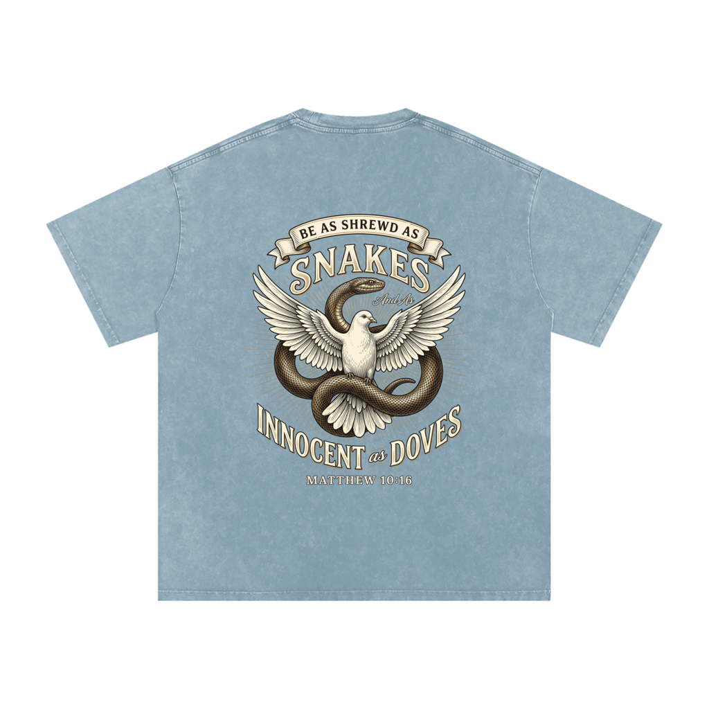 Snakes and Doves Snow Washed Oversized Cotton T-Shirt