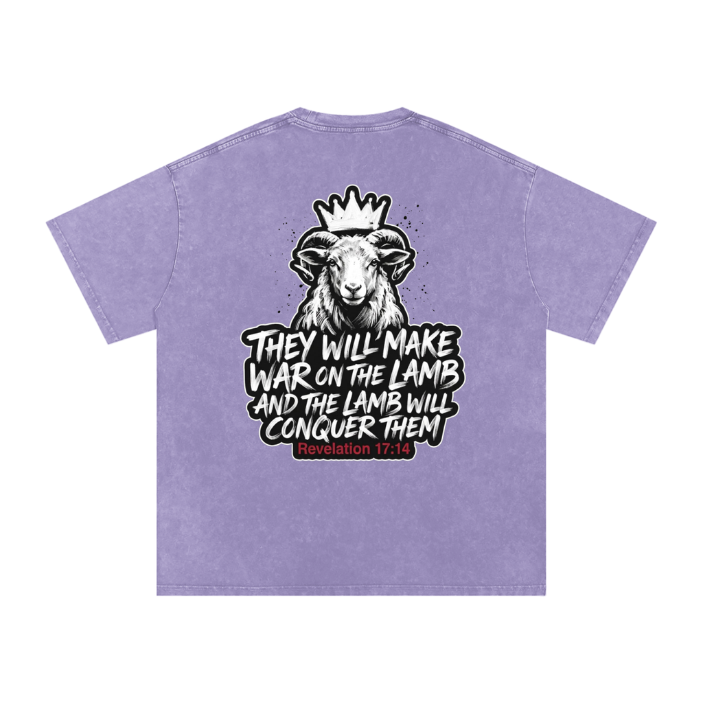 Lamb Snow Washed Oversized Cotton T-Shirt