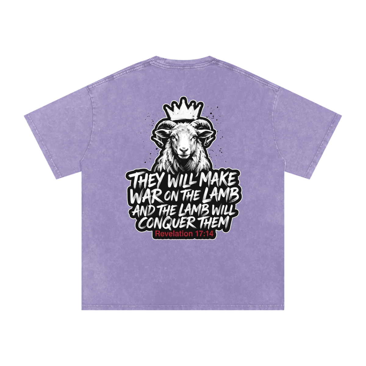 Lamb Snow Washed Oversized Cotton T-Shirt