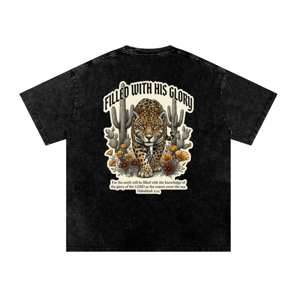 Glory Snow Washed Oversized Cotton T-Shirt