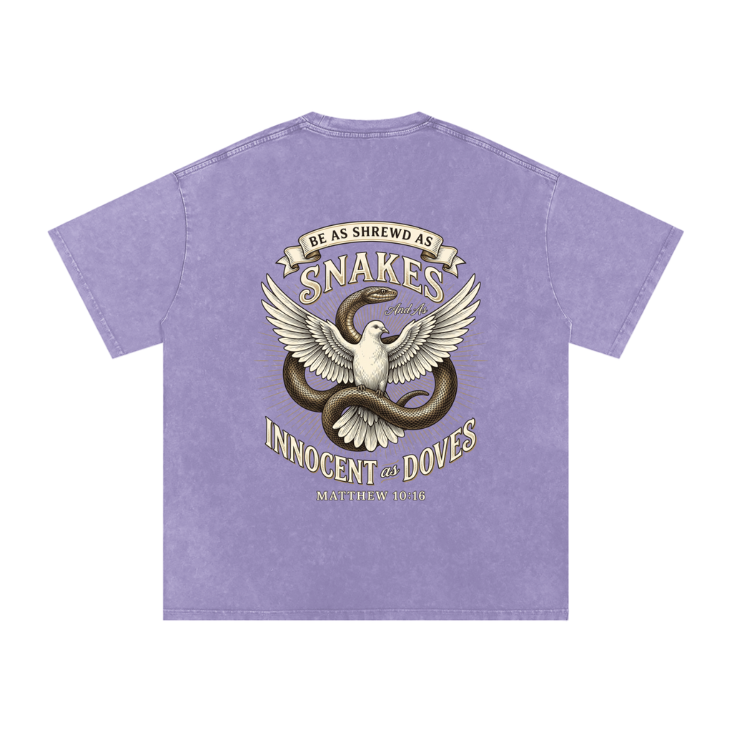 Snakes and Doves Snow Washed Oversized Cotton T-Shirt