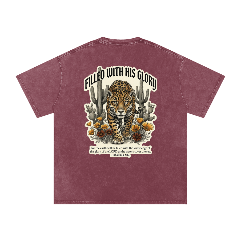 Glory Snow Washed Oversized Cotton T-Shirt