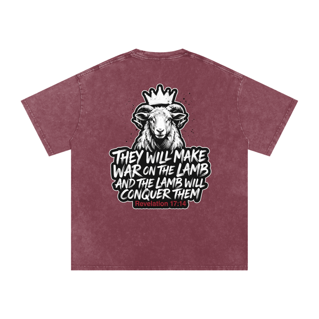 Lamb Snow Washed Oversized Cotton T-Shirt