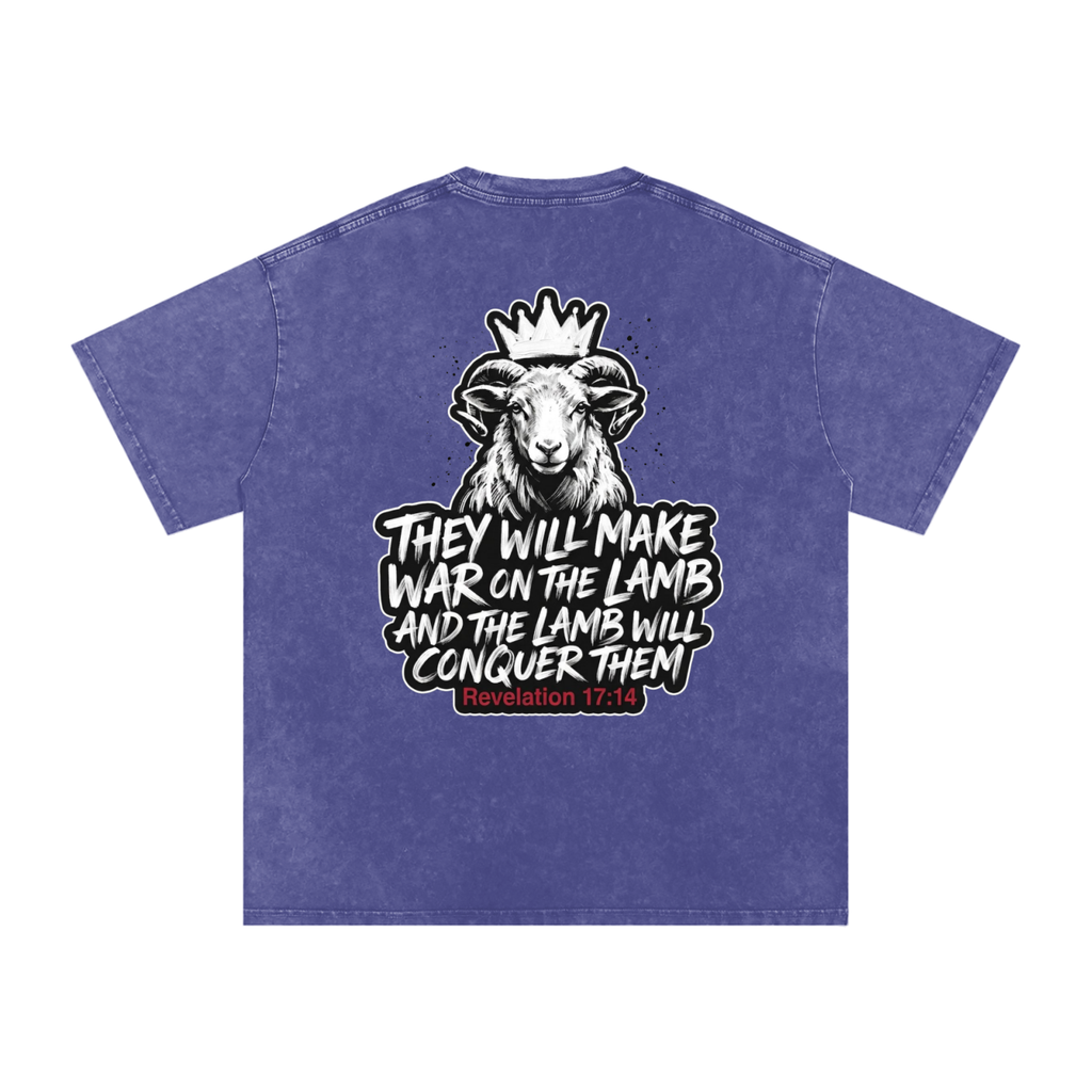 Lamb Snow Washed Oversized Cotton T-Shirt