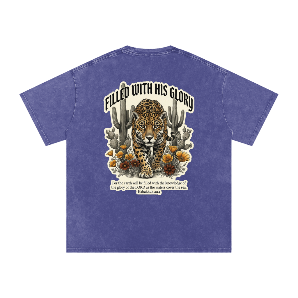 Glory Snow Washed Oversized Cotton T-Shirt