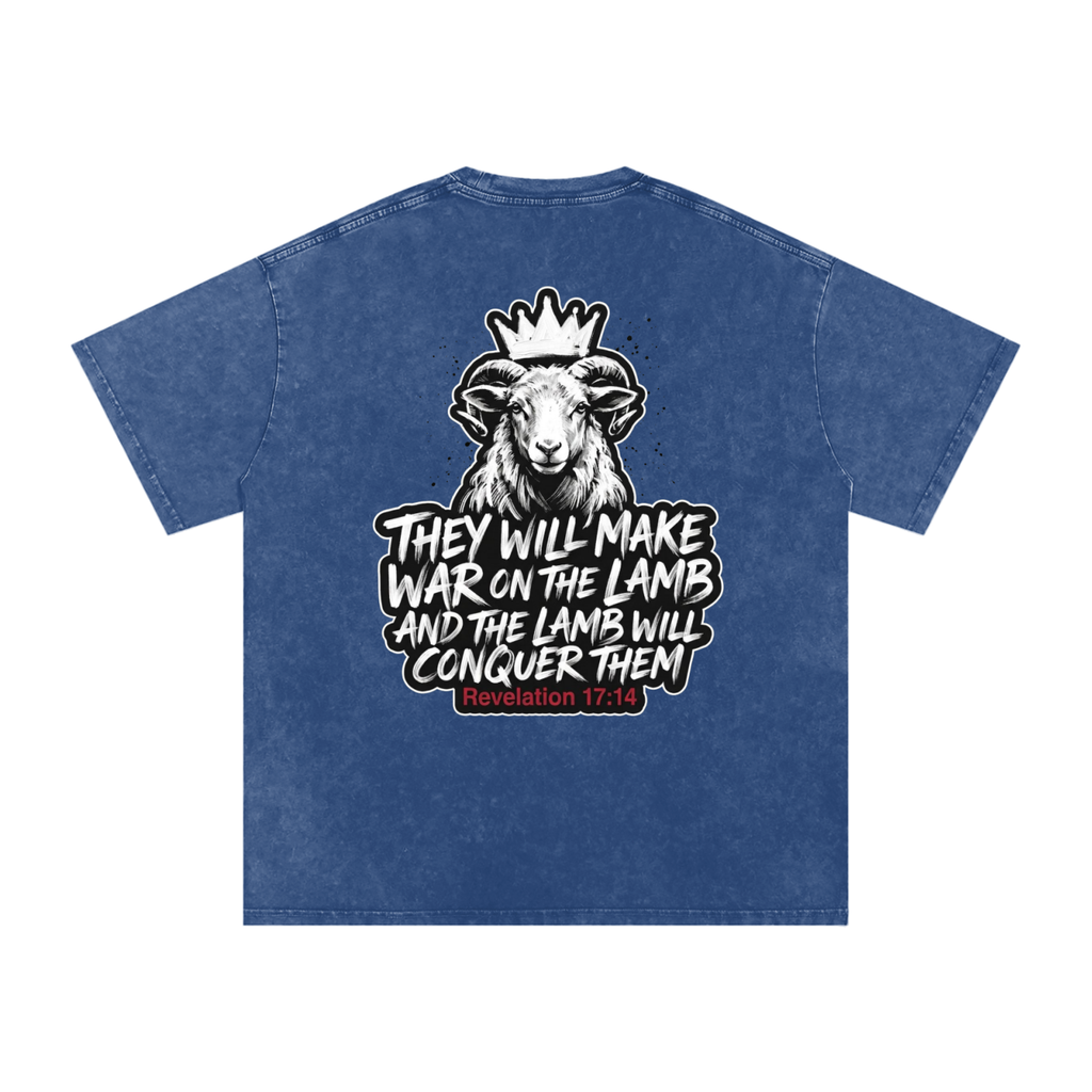 Lamb Snow Washed Oversized Cotton T-Shirt