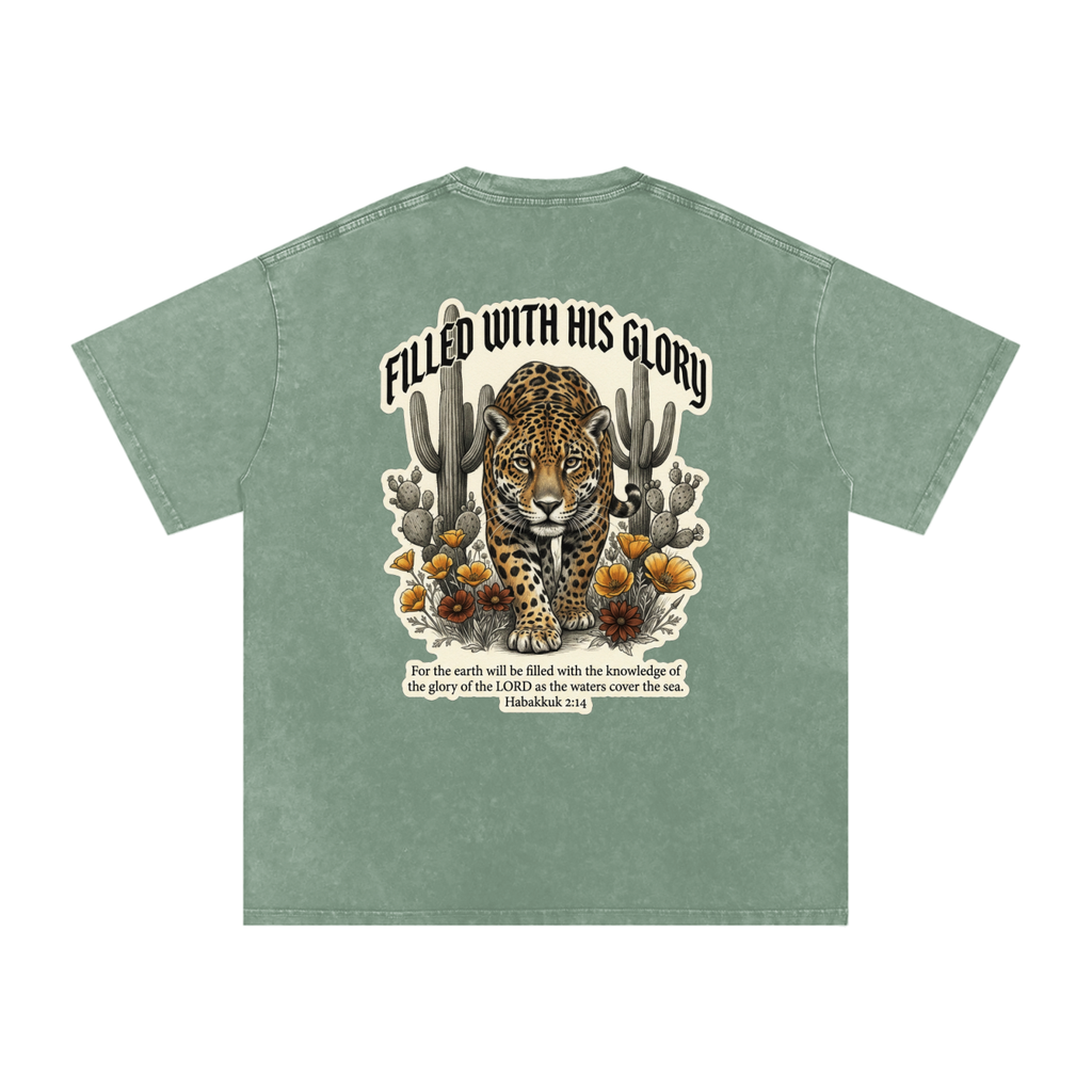 Glory Snow Washed Oversized Cotton T-Shirt