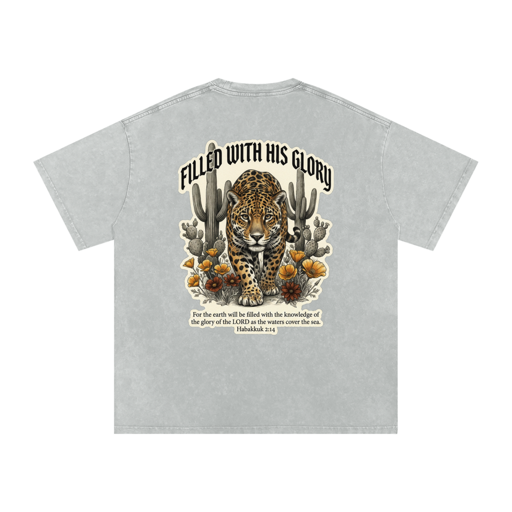 Glory Snow Washed Oversized Cotton T-Shirt