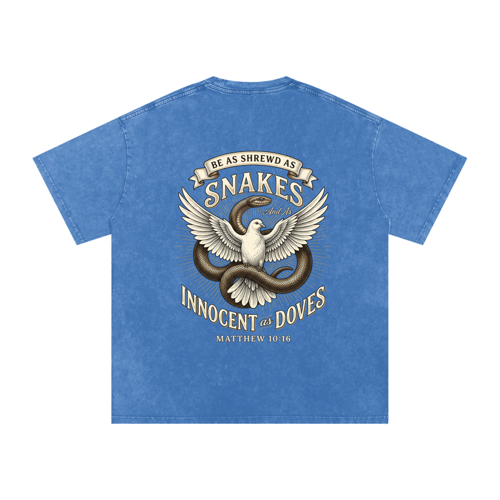 Snakes and Doves Snow Washed Oversized Cotton T-Shirt