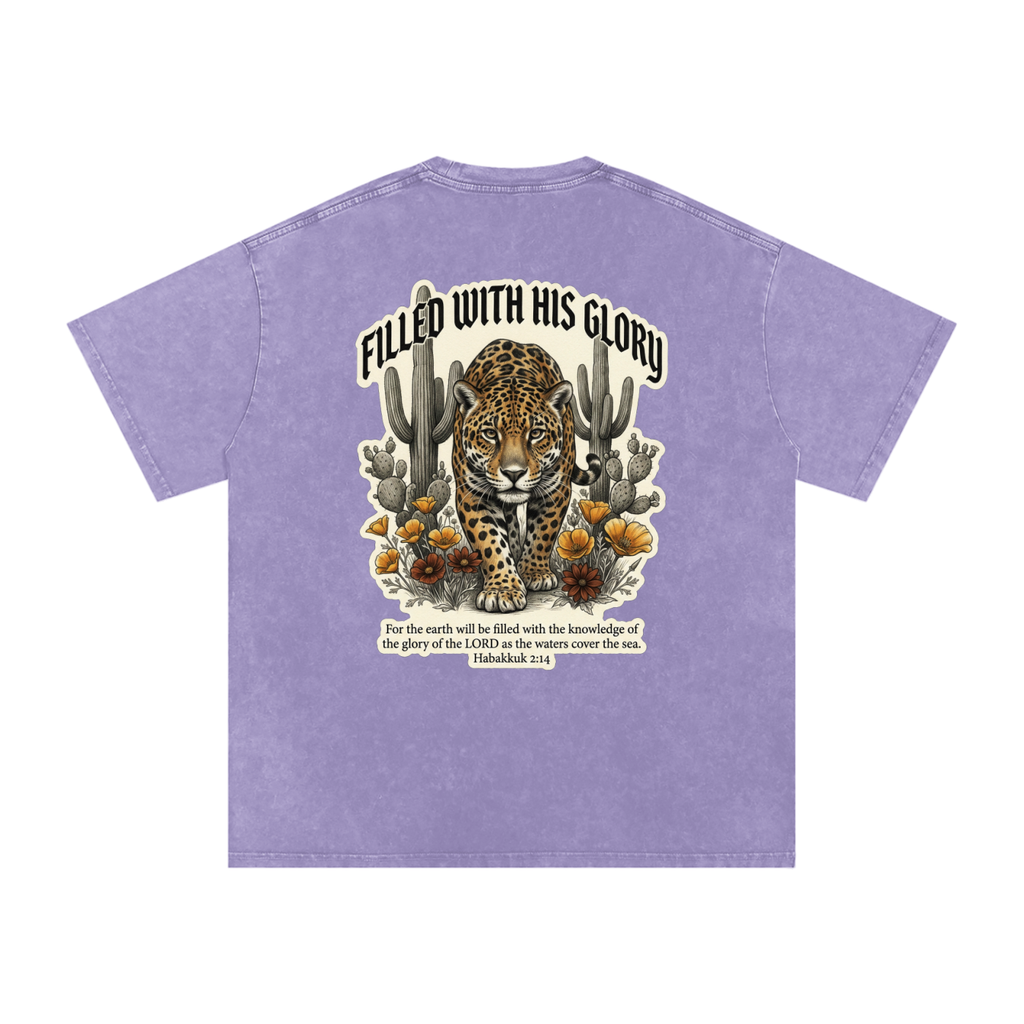 Glory Snow Washed Oversized Cotton T-Shirt