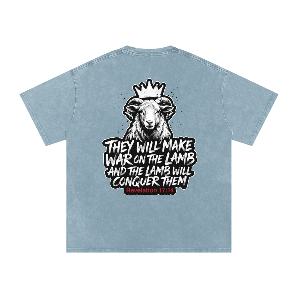 Lamb Snow Washed Oversized Cotton T-Shirt