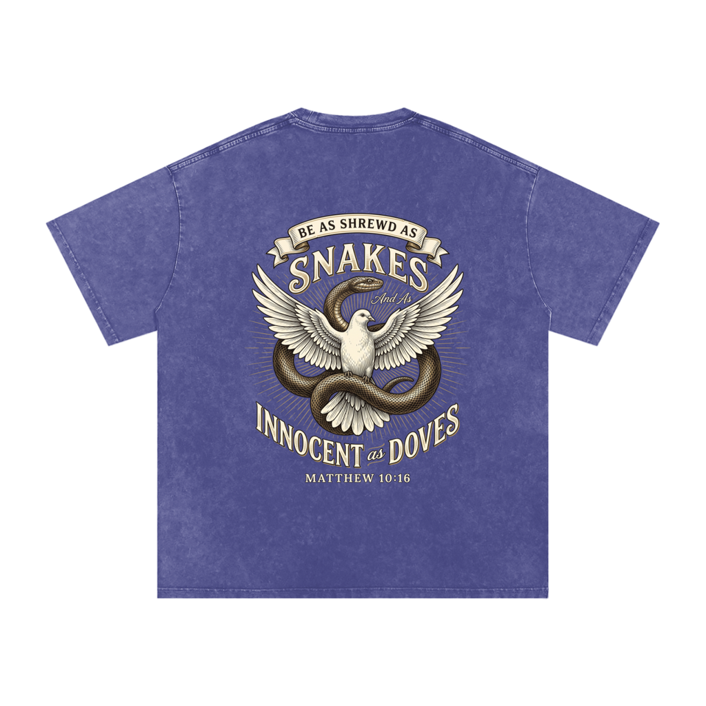 Snakes and Doves Snow Washed Oversized Cotton T-Shirt