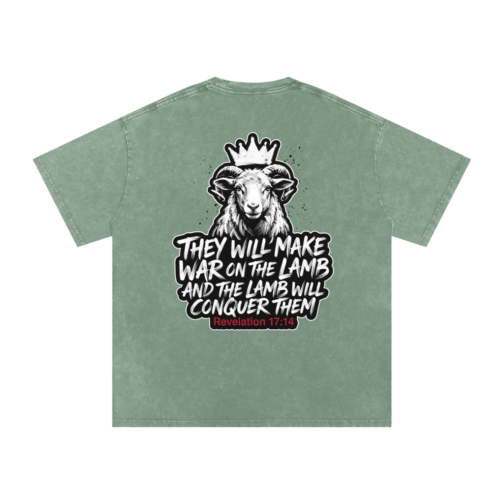 Lamb Snow Washed Oversized Cotton T-Shirt