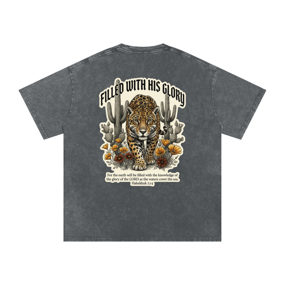 Glory Snow Washed Oversized Cotton T-Shirt