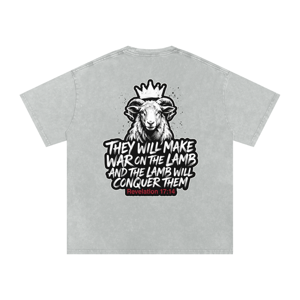 Lamb Snow Washed Oversized Cotton T-Shirt